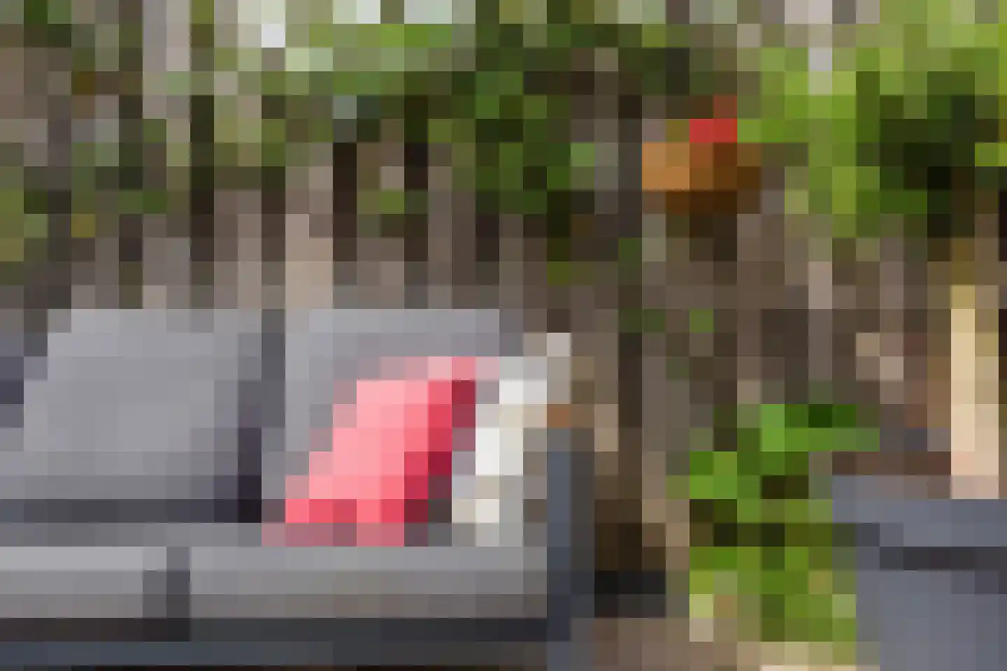 Daslook 31 Breukelen thumbnail 38