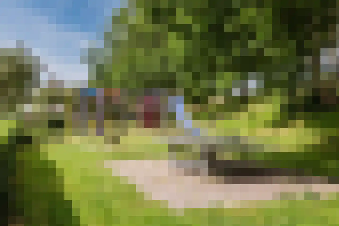 Daslook 31 Breukelen thumbnail 41