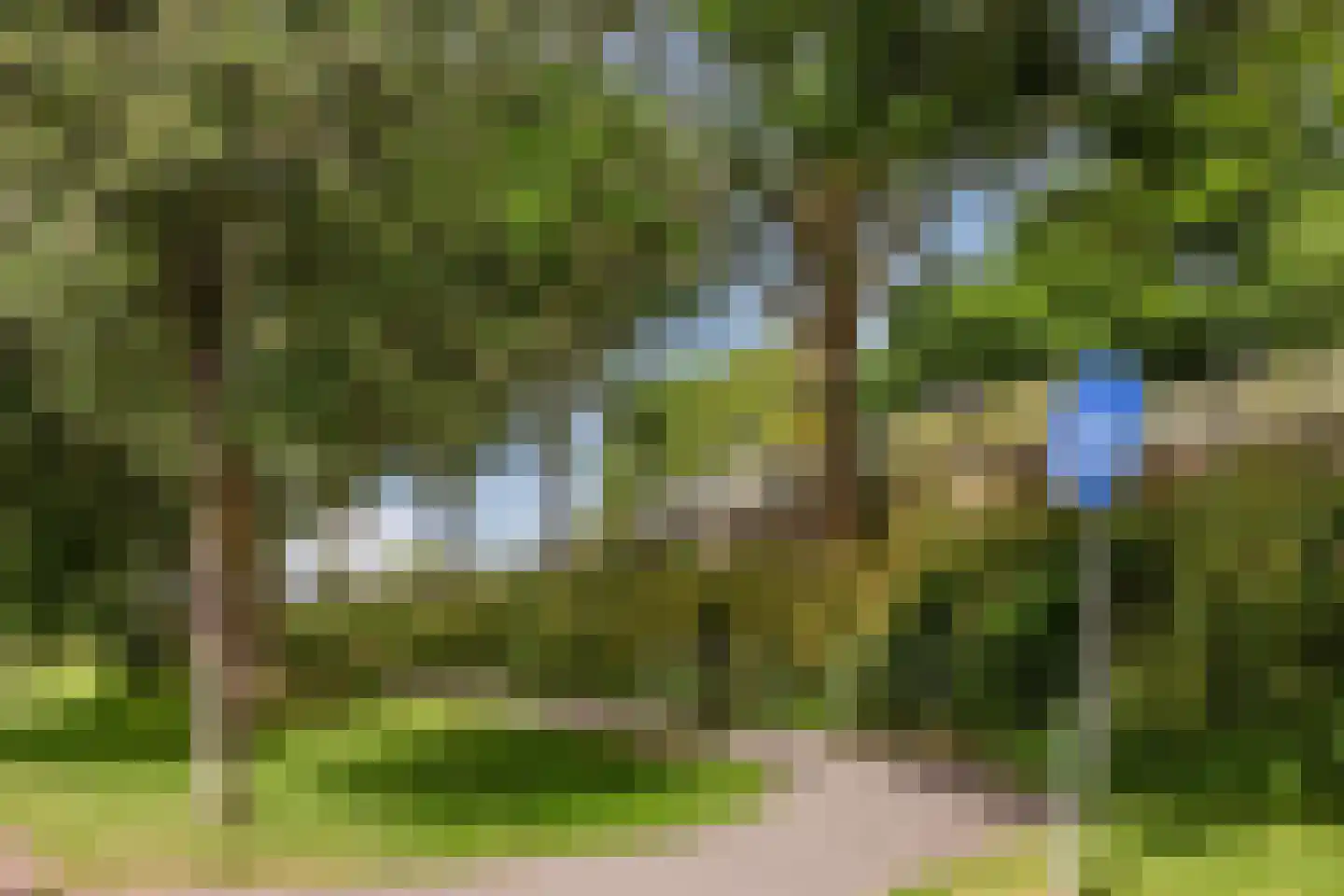 Daslook 31 Breukelen thumbnail 44