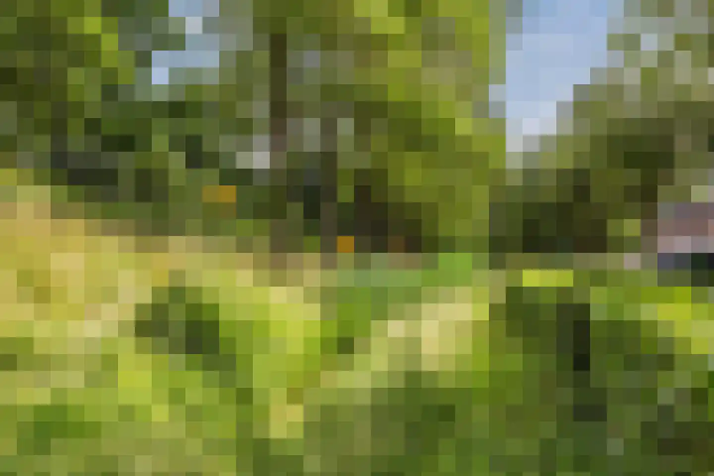 Daslook 31 Breukelen thumbnail 45