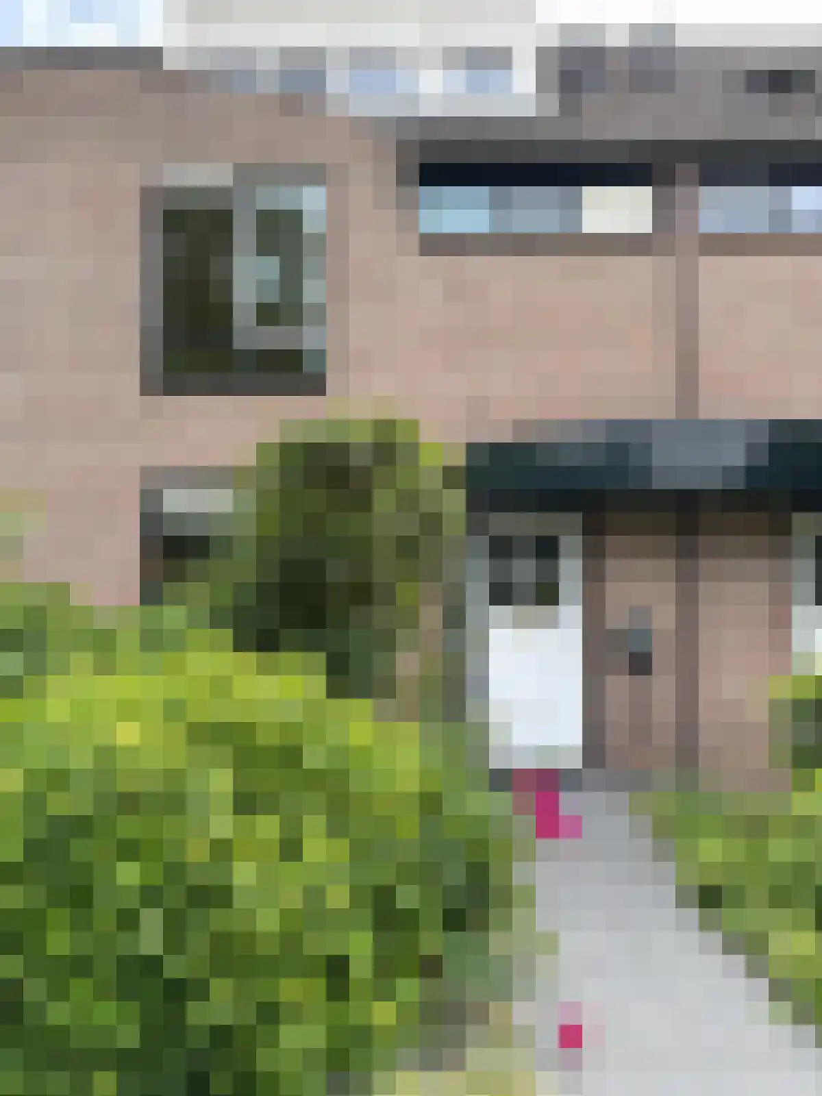Daslook 34 Breukelen