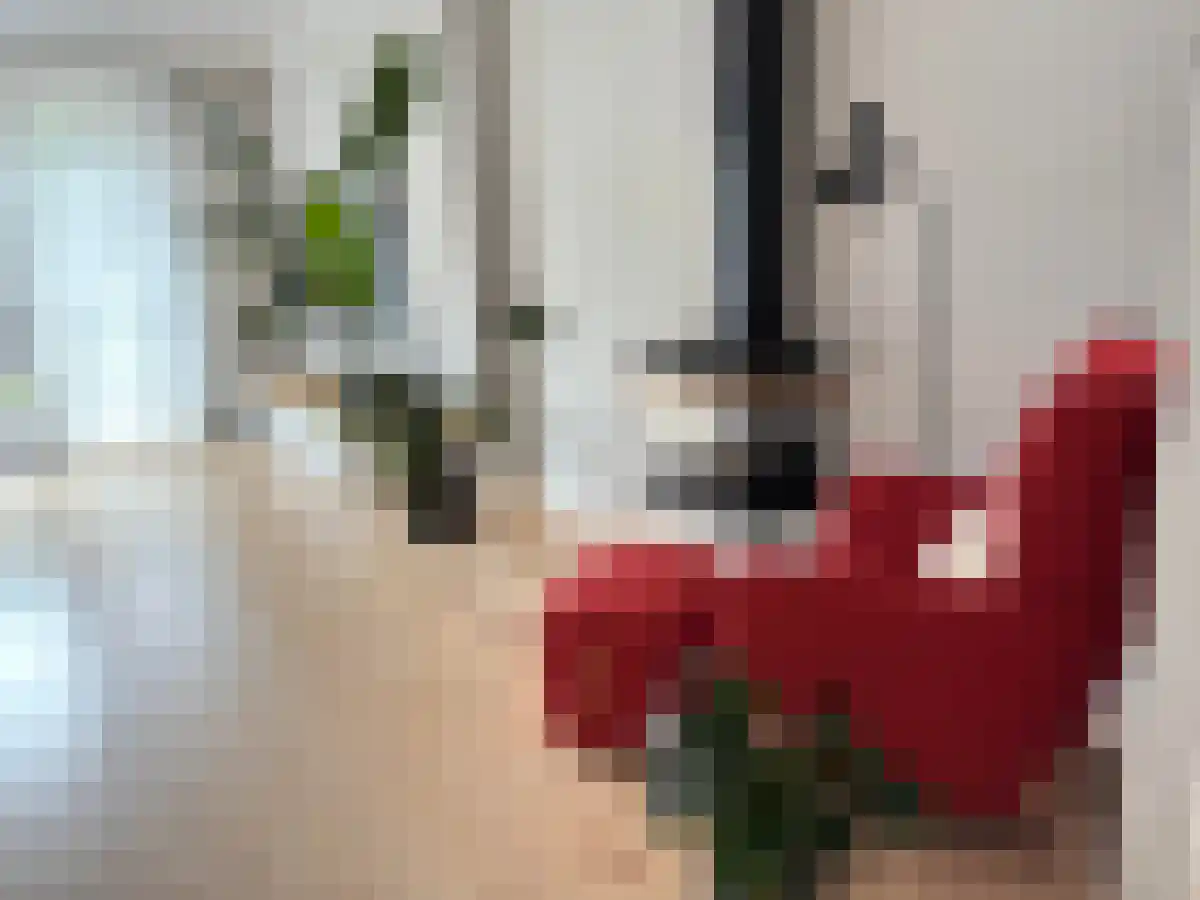 Daslook 34 Breukelen thumbnail 4