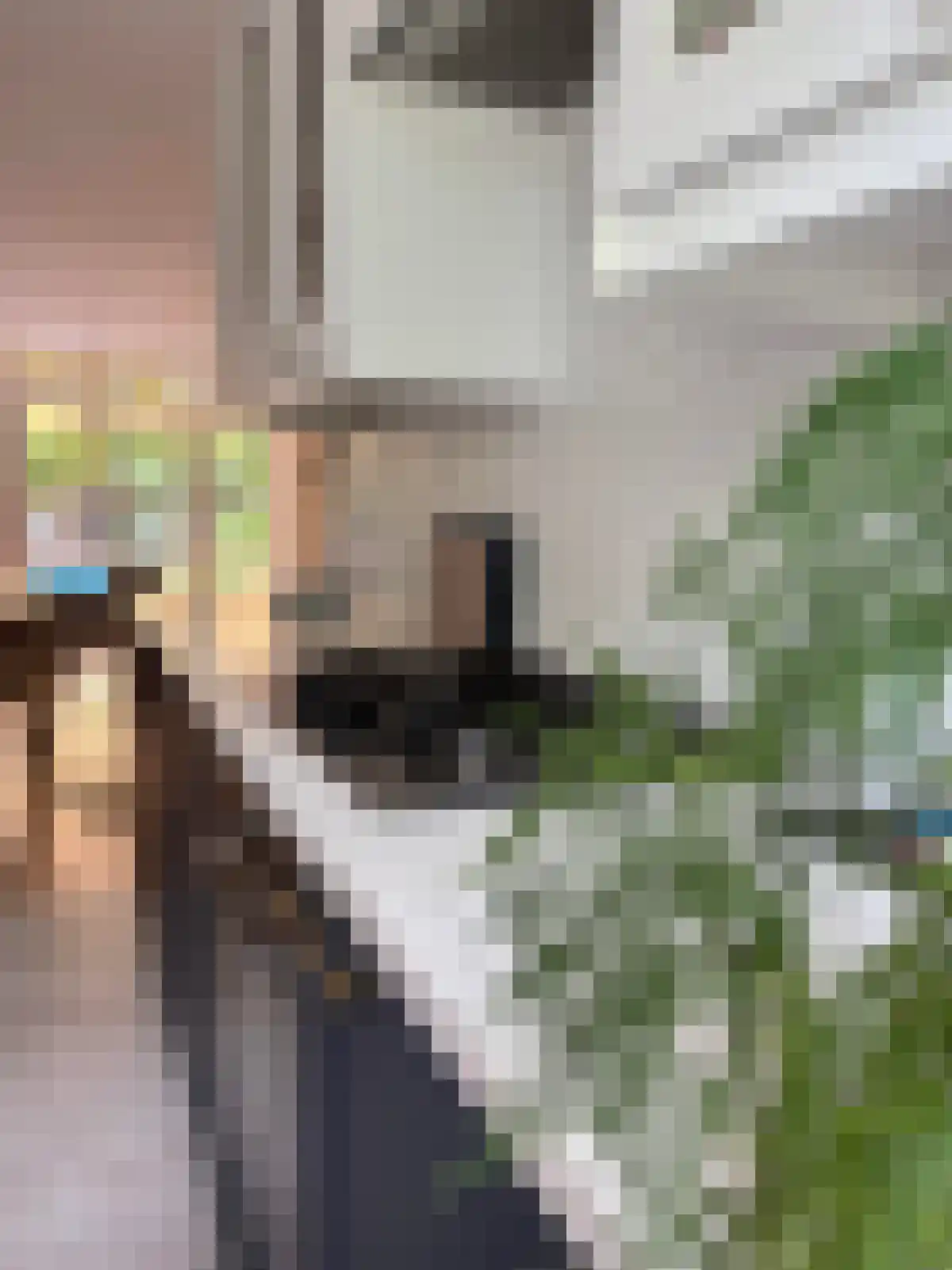 Daslook 34 Breukelen thumbnail 6