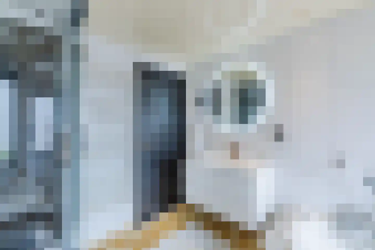 Daslook 38 Kerkrade thumbnail 31