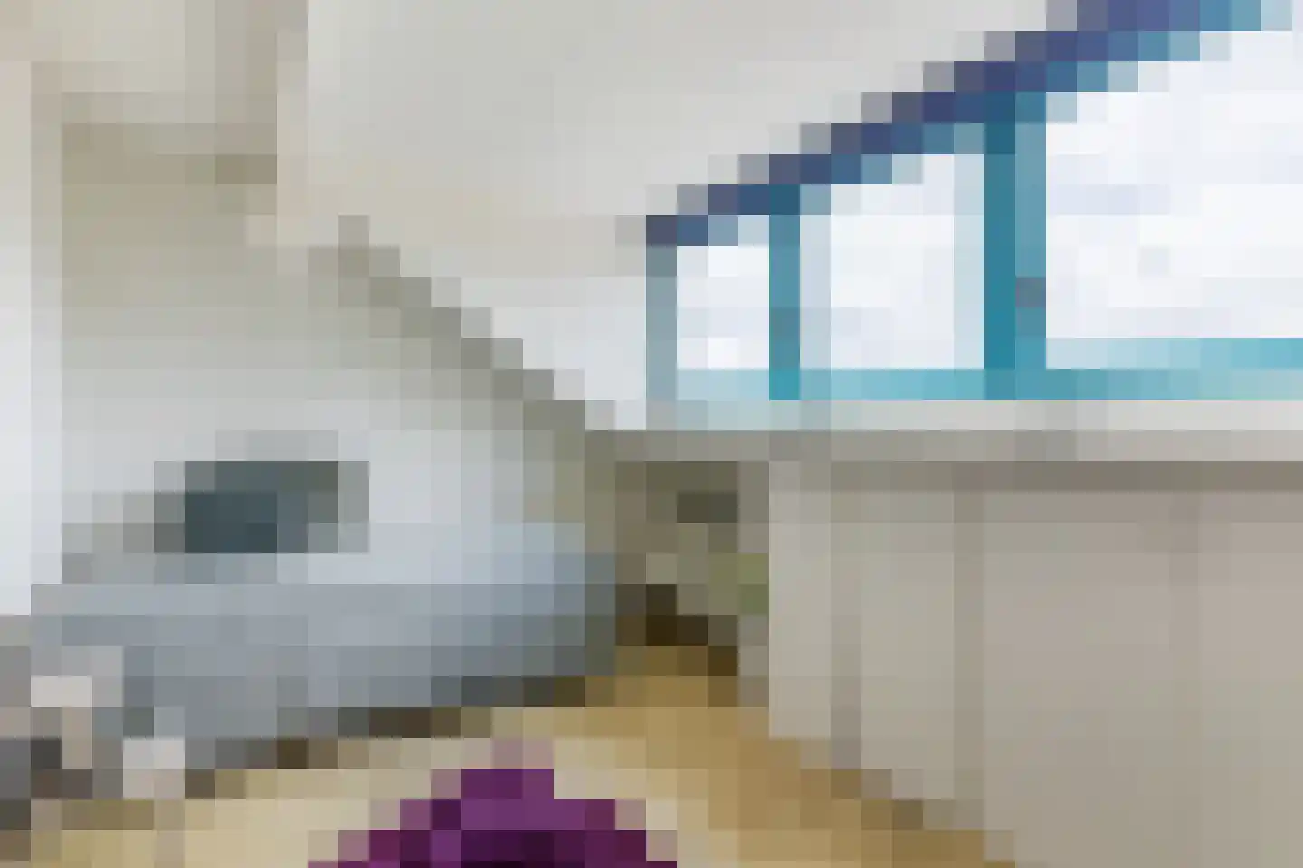 Daslook 38 Kerkrade thumbnail 41