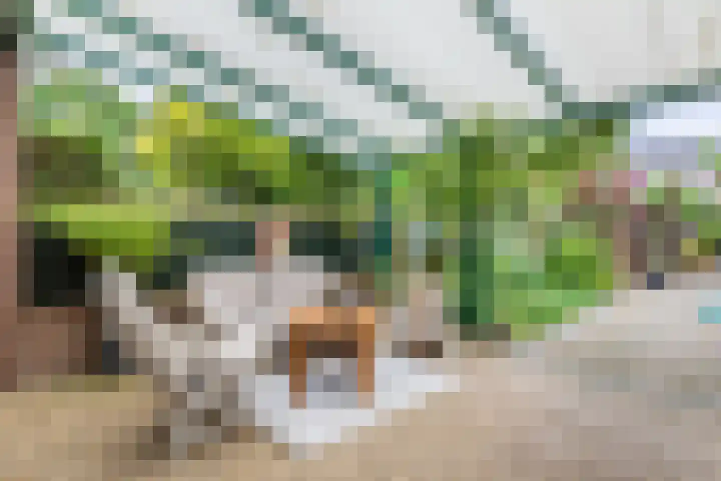Daslook 38 Kerkrade thumbnail 47