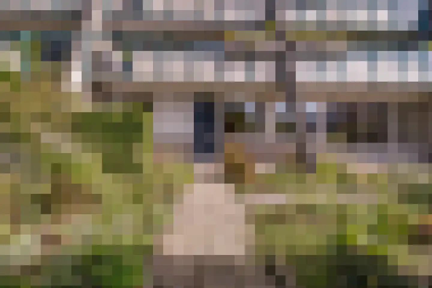 Daslook 4 Deventer thumbnail 19