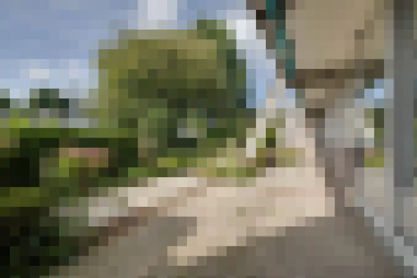 Daslook 4 Deventer thumbnail 20