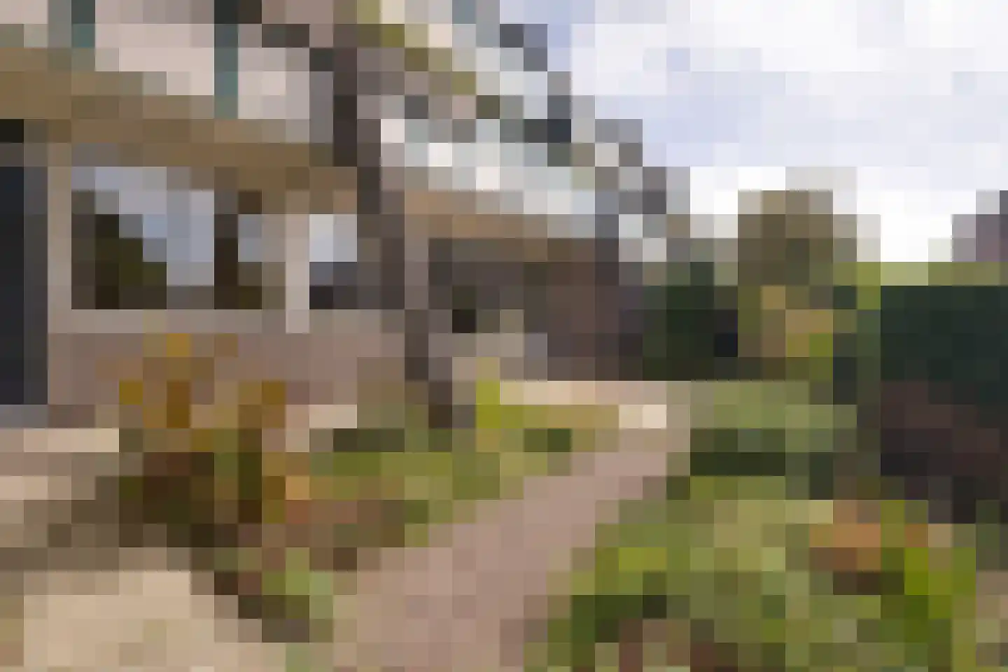 Daslook 4 Deventer thumbnail 21