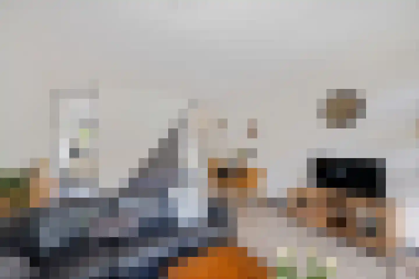 Daslook 45 Leeuwarden thumbnail 12