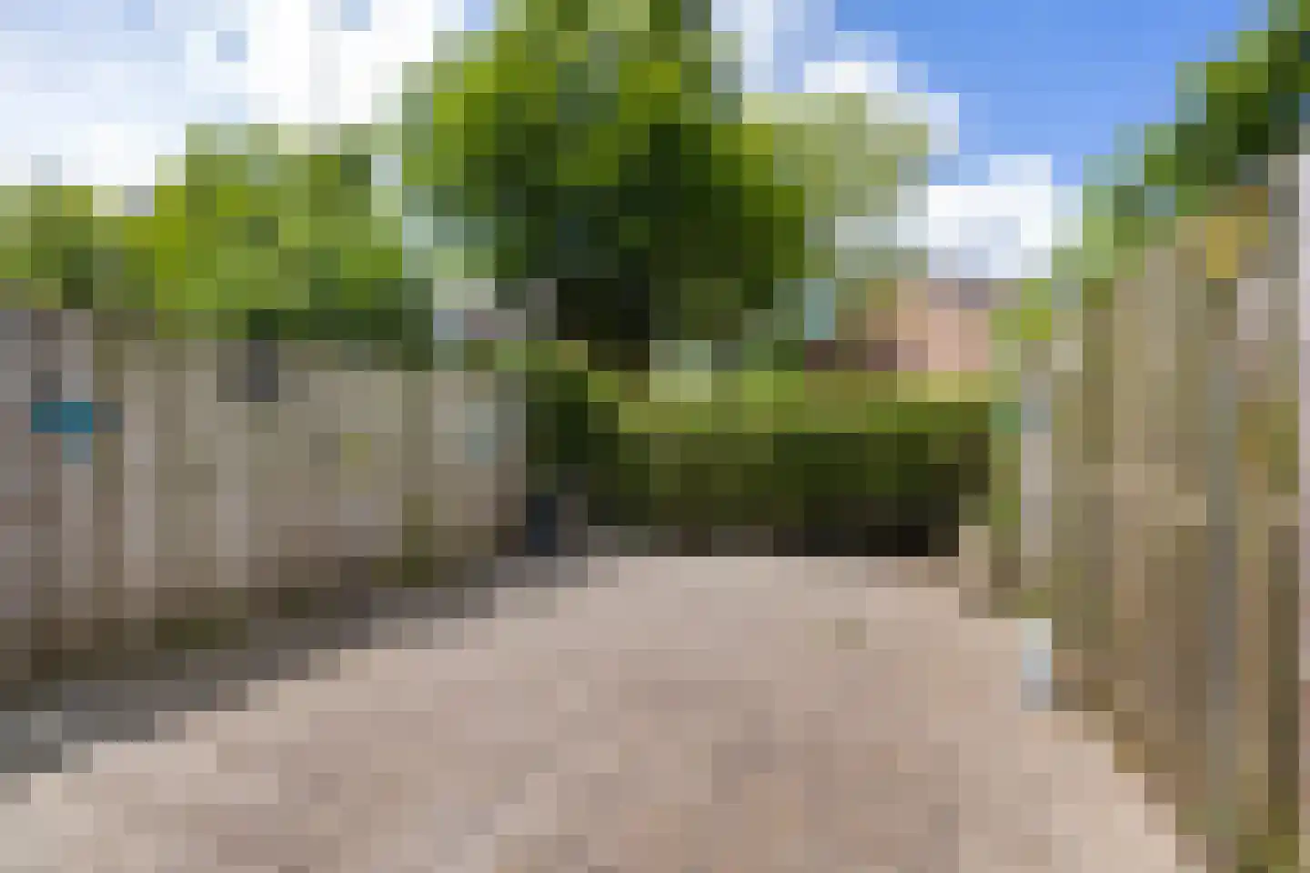 Daslook 45 Leeuwarden thumbnail 33