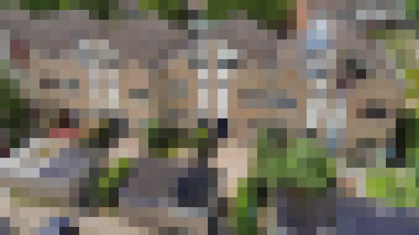 Daslook 45 Leeuwarden thumbnail 35