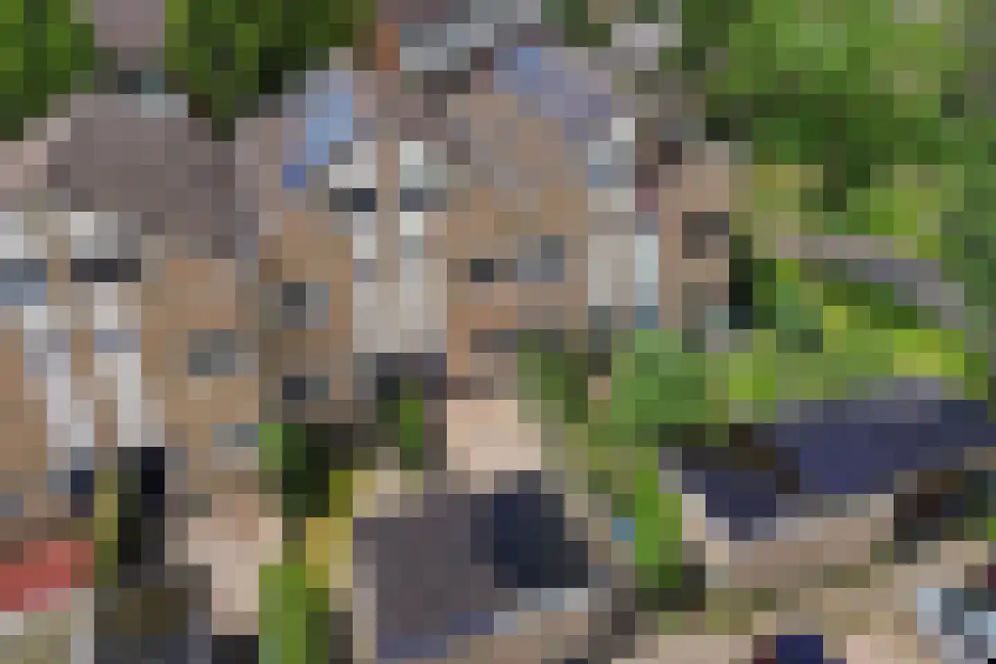 Daslook 45 Leeuwarden thumbnail 36