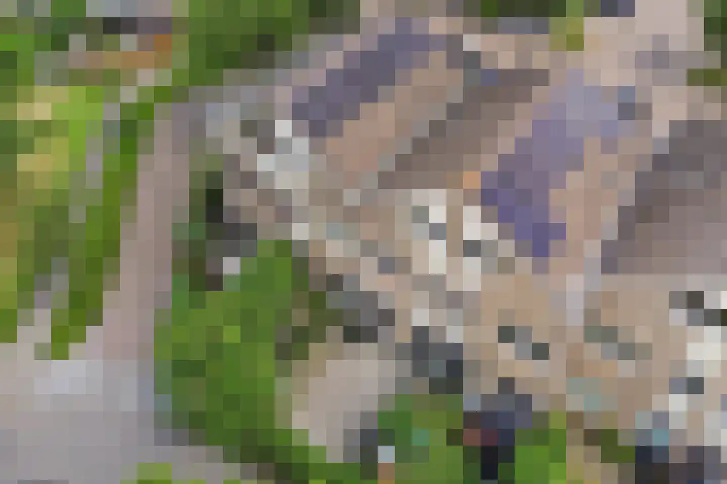 Daslook 45 Leeuwarden thumbnail 37