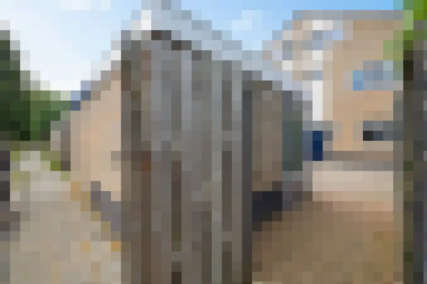 Daslook 45 Leeuwarden thumbnail 4