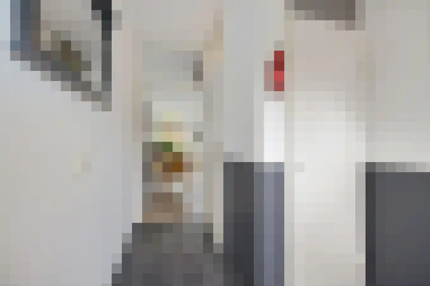 Daslook 45 Leeuwarden thumbnail 7
