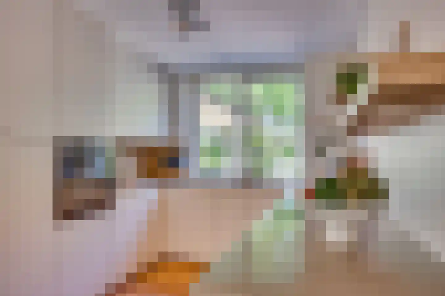 Daslook 46 Breukelen thumbnail 11