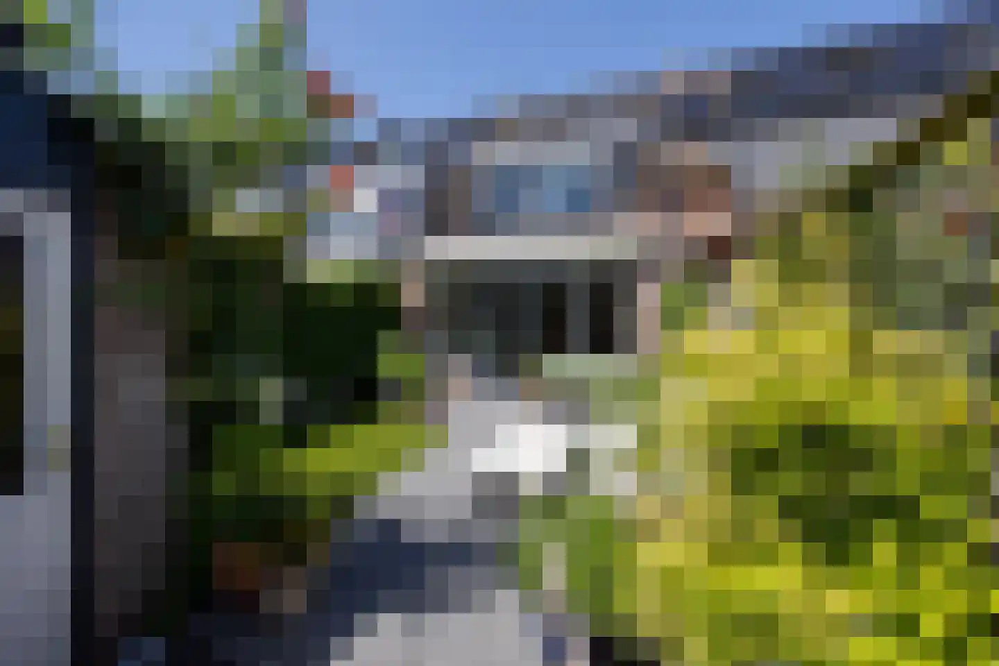 Daslook 46 Breukelen thumbnail 17