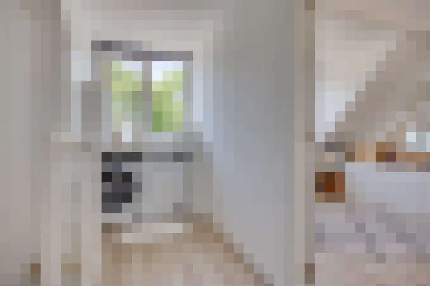 Daslook 46 Breukelen thumbnail 29