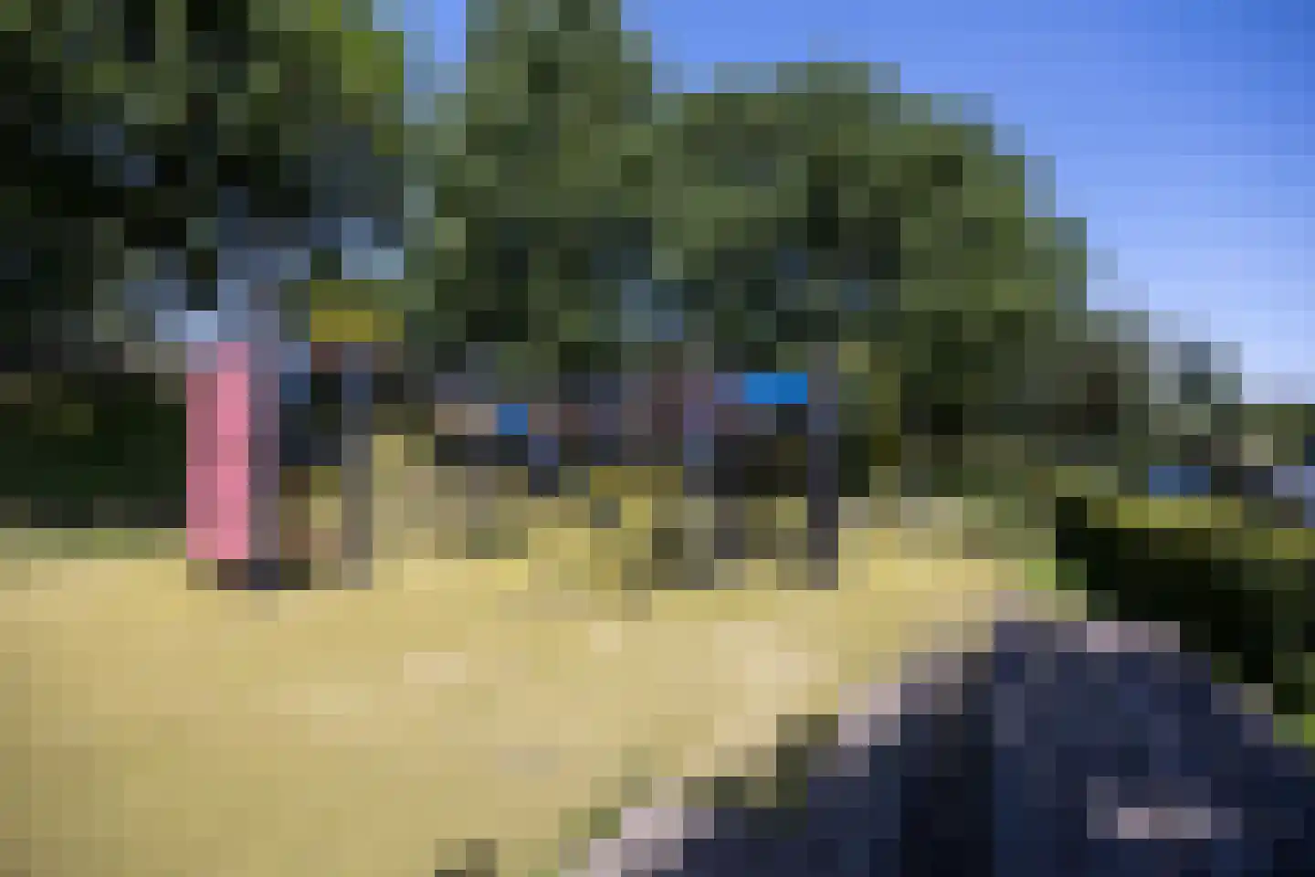Daslook 46 Breukelen thumbnail 36