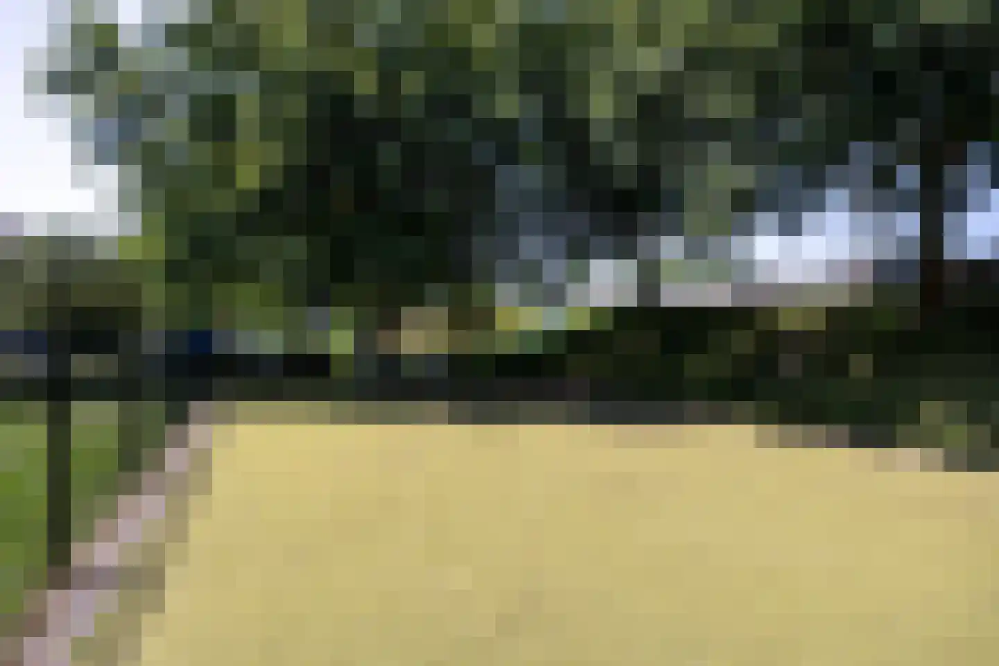 Daslook 46 Breukelen thumbnail 37
