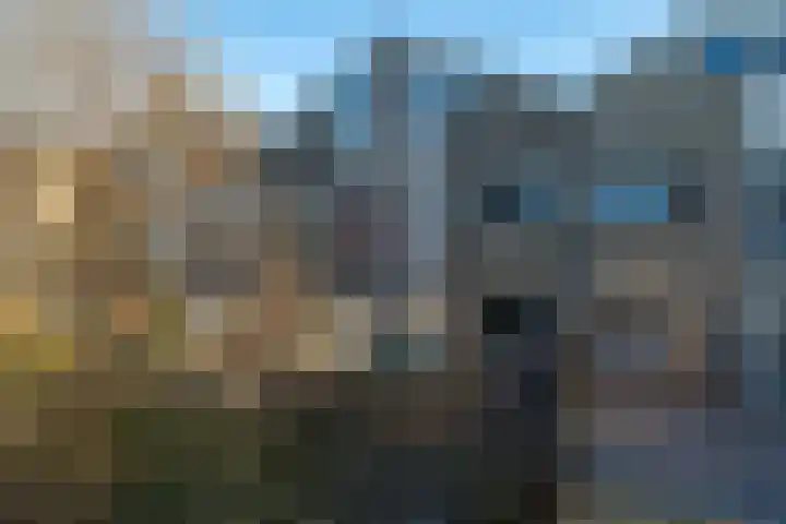 Daslook 55 Leeuwarden thumbnail 36