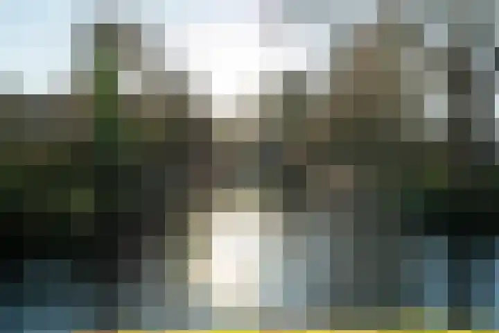 Daslook 55 Leeuwarden thumbnail 37
