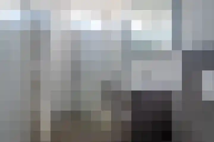 Daslook 55 Leeuwarden thumbnail 4