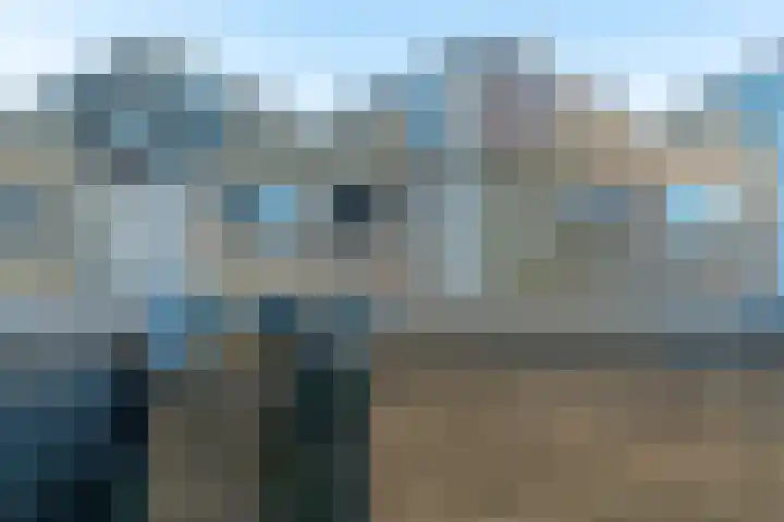 Daslook 55 Leeuwarden thumbnail 5
