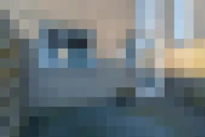 Daslook 55 Leeuwarden thumbnail 6