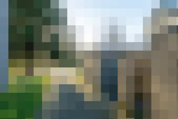 Daslook 55 Leeuwarden thumbnail 8