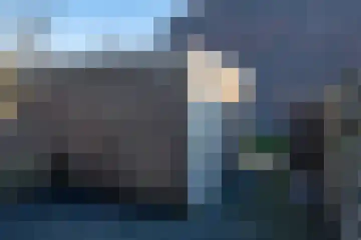 Daslook 55 Leeuwarden thumbnail 9