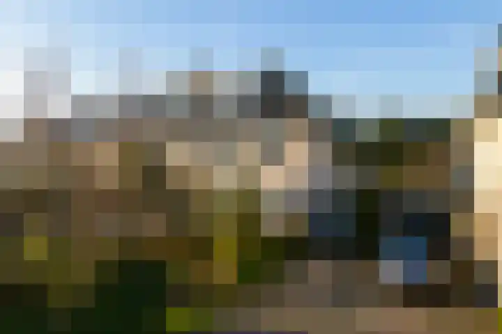 Daslook 61 Breukelen