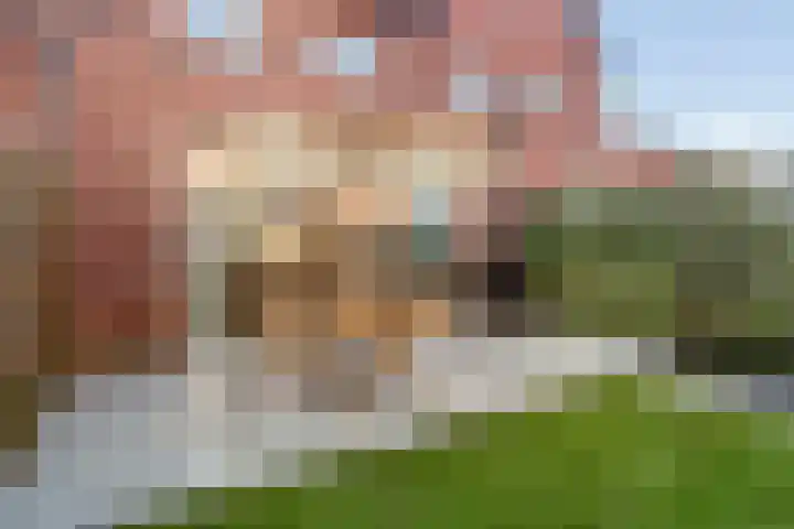 Daslookstraat 13 Utrecht thumbnail 19