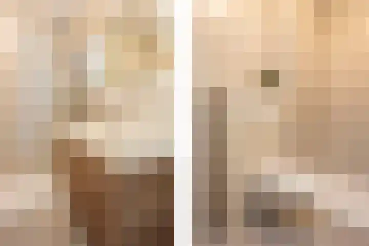 Daslookstraat 13 Utrecht thumbnail 31