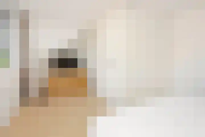 Daslookstraat 13 Utrecht thumbnail 33