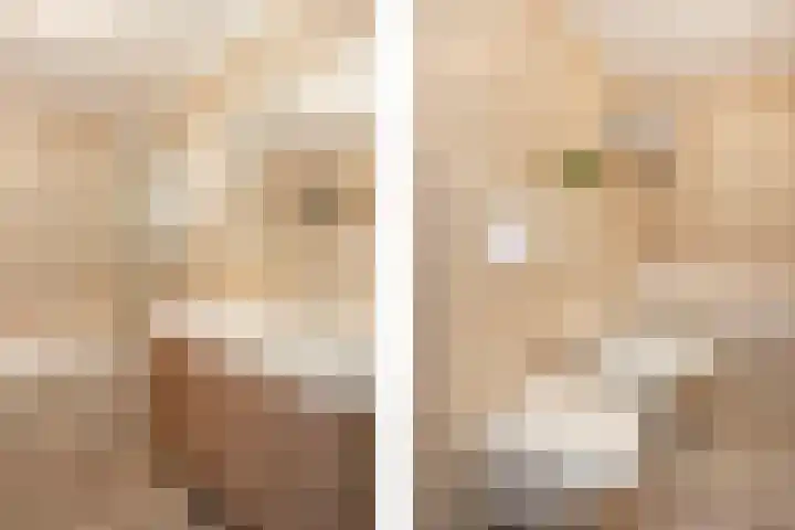 Daslookstraat 13 Utrecht thumbnail 36
