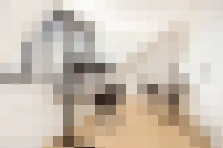 Daslookstraat 13 Utrecht thumbnail 37