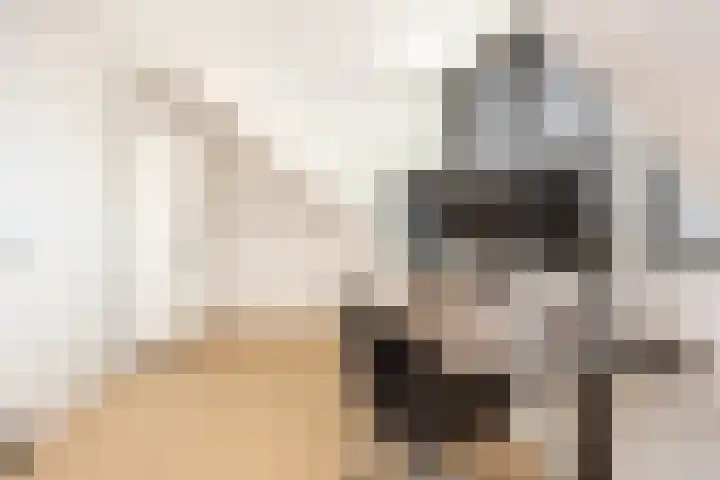 Daslookstraat 13 Utrecht thumbnail 38