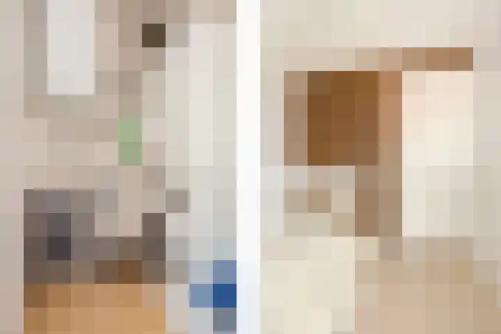 Daslookstraat 13 Utrecht thumbnail 39