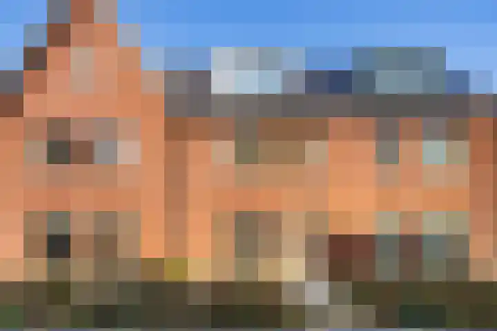 Daslookstraat 13 Utrecht thumbnail 46