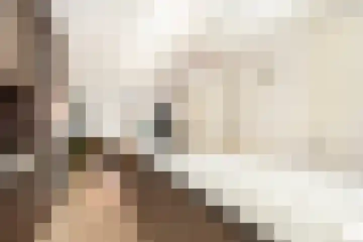 Daslookstraat 13 Utrecht thumbnail 5