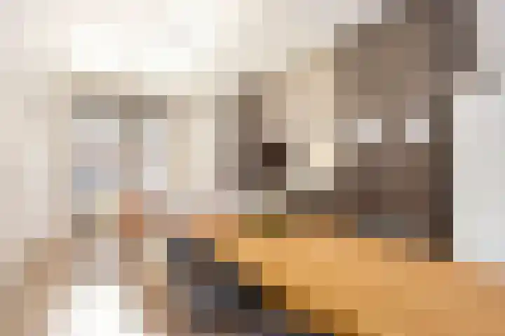 Daslookstraat 13 Utrecht thumbnail 8