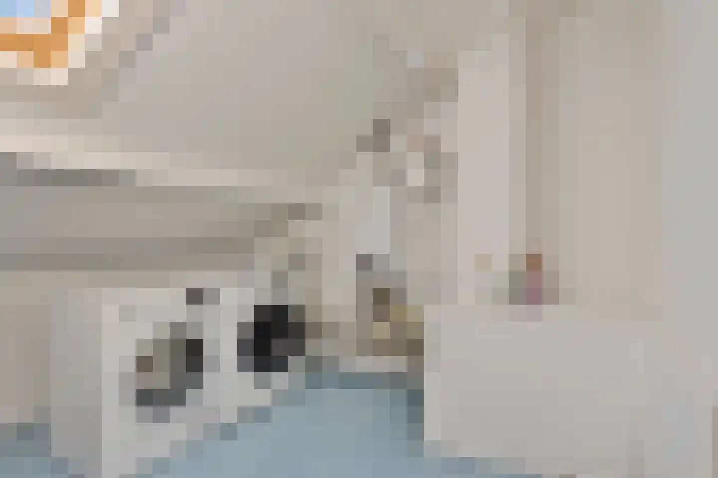 Dasseburcht 13 Oss thumbnail 20