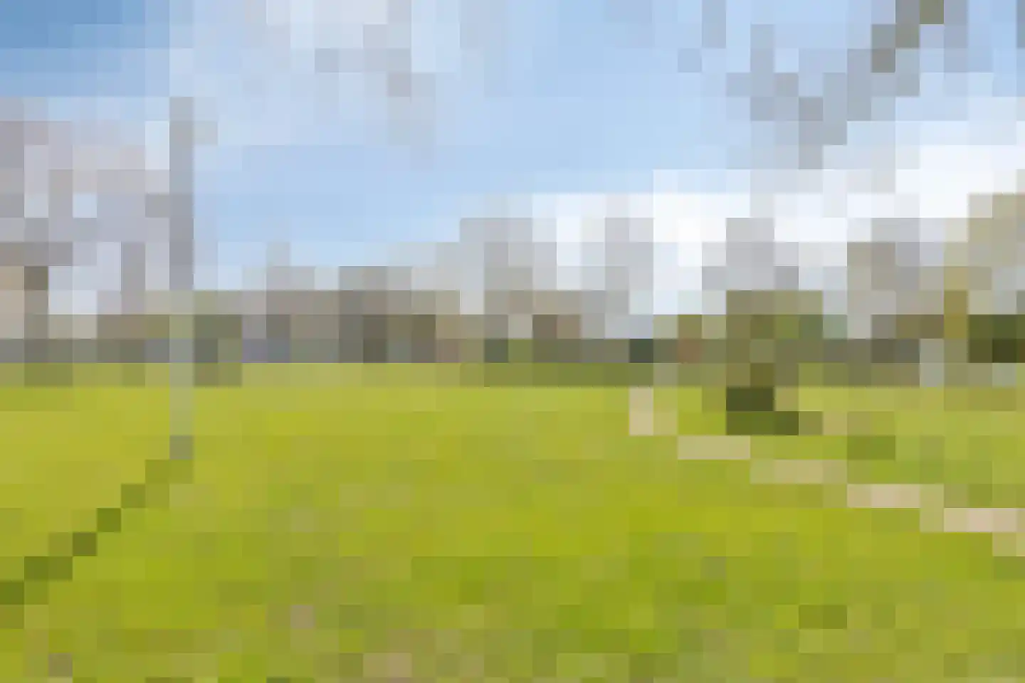 Dasseburcht 13 Oss thumbnail 25