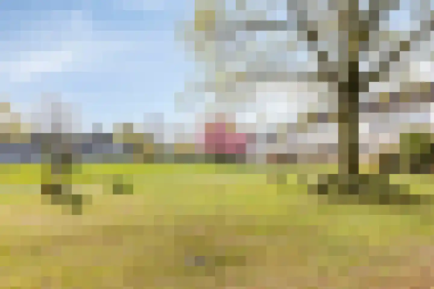 Dasseburcht 13 Oss thumbnail 26