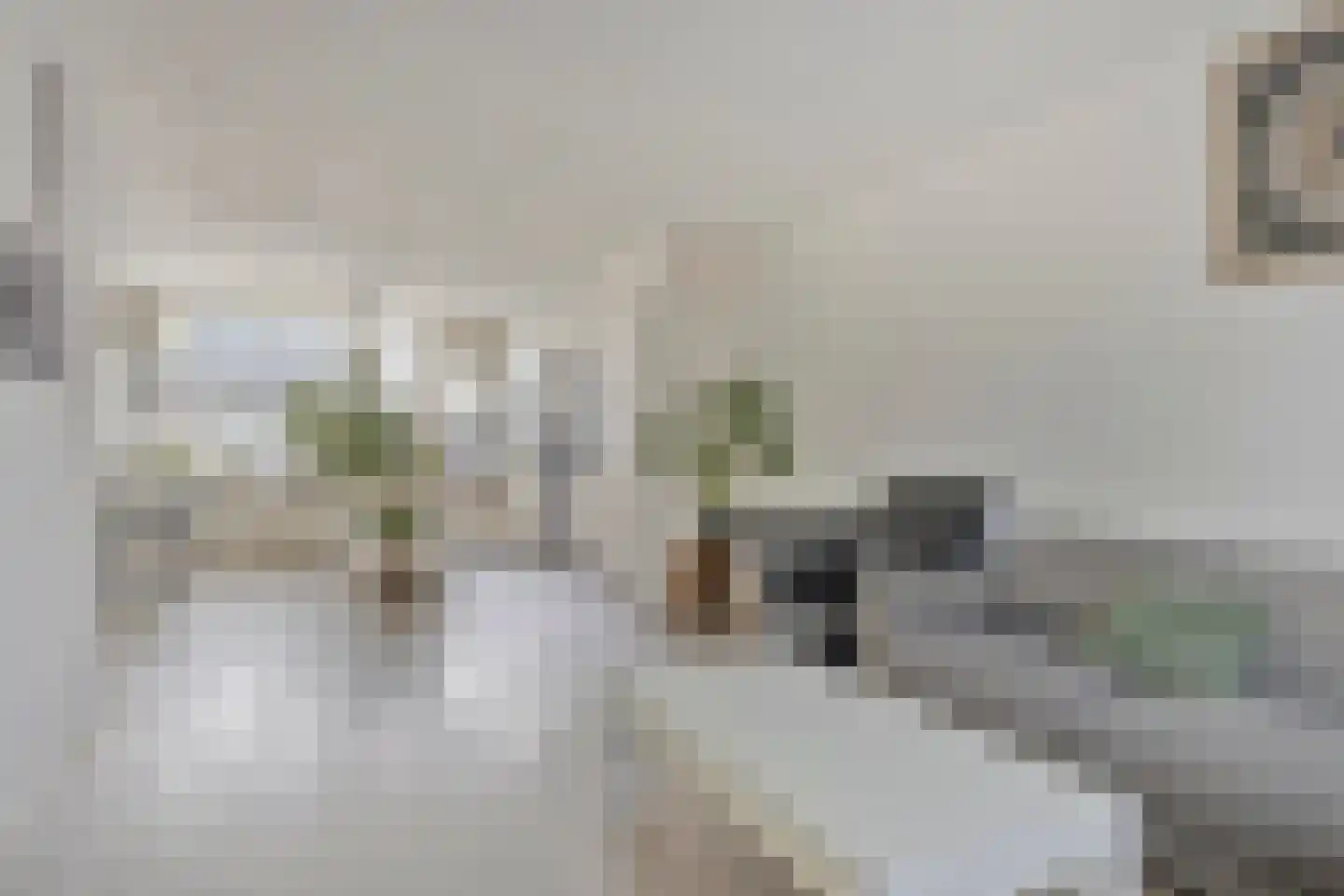 Dasseburcht 13 Oss thumbnail 6