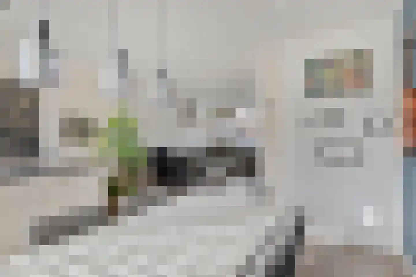 Dasseburcht 13 Oss thumbnail 9