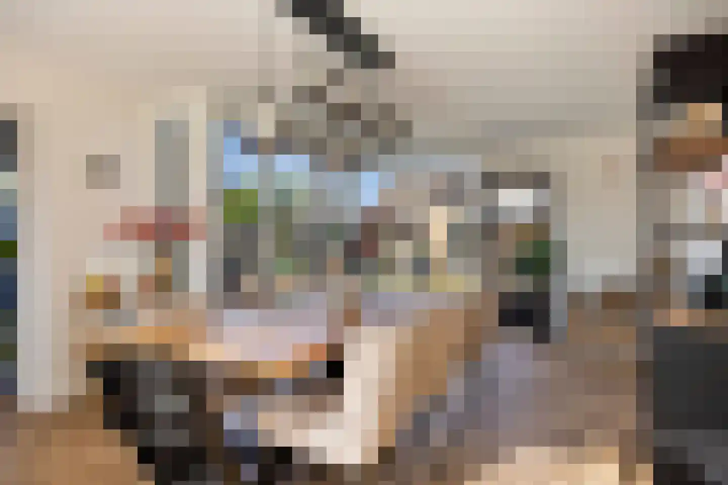 Dasseburcht 14 Baarle-Nassau thumbnail 11