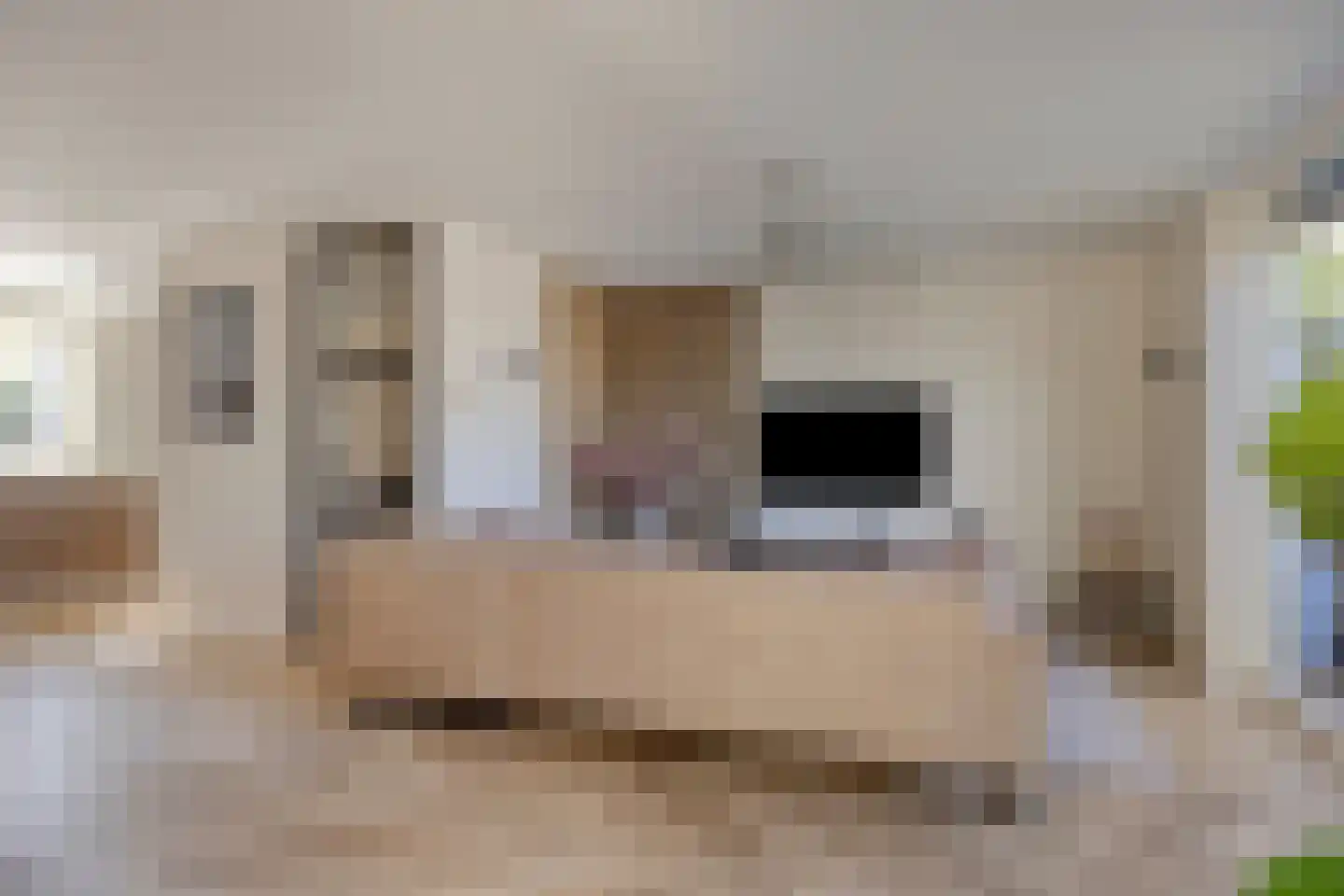 Dasseburcht 14 Baarle-Nassau thumbnail 7